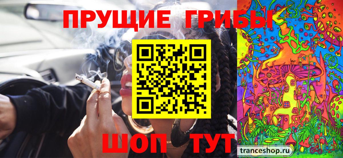 Галлюциногенные грибы GOLDEN TEACHER Шали