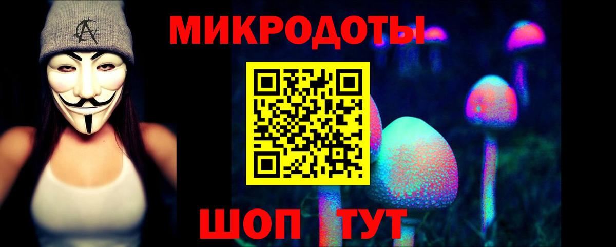 Псилоцибиновые грибы GOLDEN TEACHER  наркошоп  Шали  Вход с VPN 
